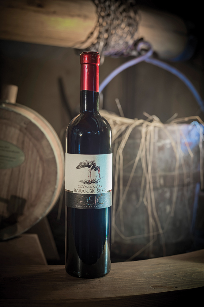 _MG_7743