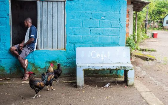 Gastronomija između oceana i džungle