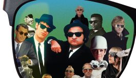 Zaštita, krinka & moda