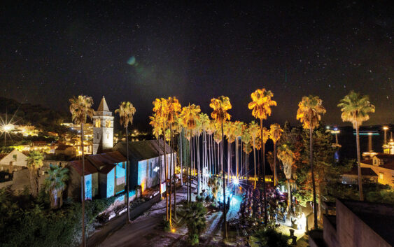 Ponta Lopud bez crenog tepiha