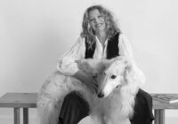 Pisanje između Aslanovih šetnji